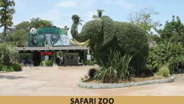 Night Safari & Zoo